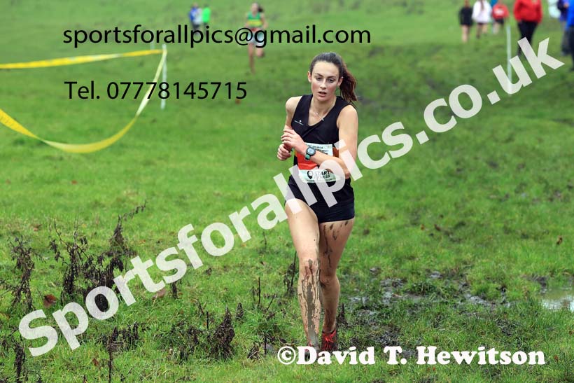 Womens Senior and Womens Masters 2023 NECAA Cross Country Relays, Thornley Hall Farm, Peterlee, County Durham. Photo: David T. Hewitson/Sports for All Pics